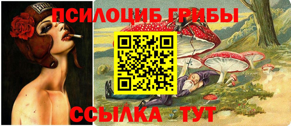 Галлюциногенные грибы ЛСД Киселёвск