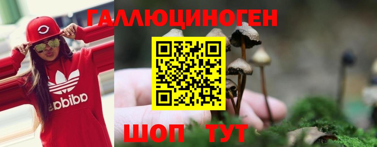 Галлюциногенные грибы мицелий  Вход с VPN  Киселёвск 